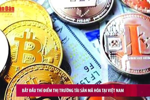 Bắt đầu thí điểm thị trường tài sản mã hóa tại Việt Nam