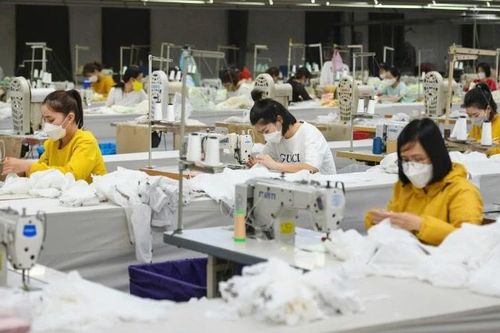 Khởi động Mô hình Toàn cảnh Kinh tế tư nhân Việt Nam