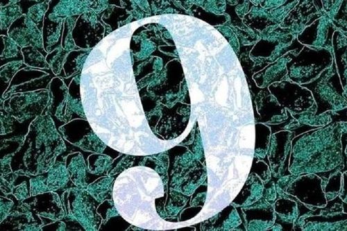 'Năm số 9' là gì mà dân mạng liên tục nhắc tới?