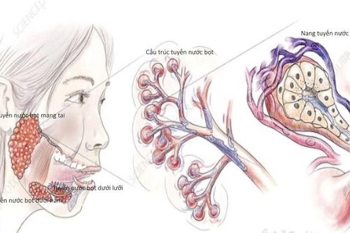 Địa chỉ vàng: Bệnh viện điều trị u tuyến nước bọt