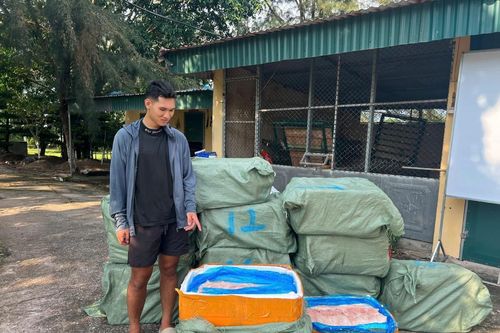Bắt giữ vụ vận chuyển 600kg nầm lợn đông lạnh không rõ nguồn gốc