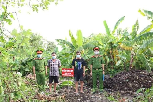 Hà Nội: Phát hiện, tiêu hủy lợn nhiễm bệnh dịch