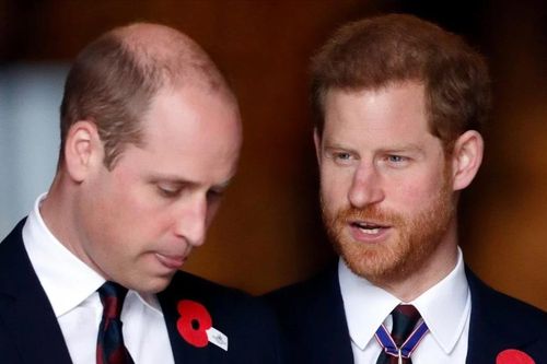 Harry ẩn ý về William