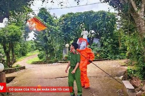Vụ 3 cháu bé thương vong: Xử lý tổ ong vò vẽ
