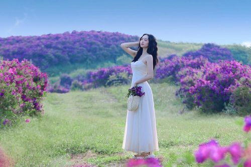 Ngọn đồi nhuộm sắc tím, mây bồng bềnh, khách Hà Nội 'nhìn ảnh là muốn đi ngay'