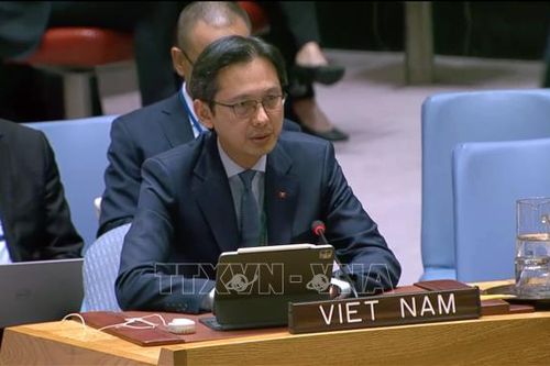 Việt Nam khẳng định cam kết đối với tương lai hoạt động gìn giữ hòa bình LHQ