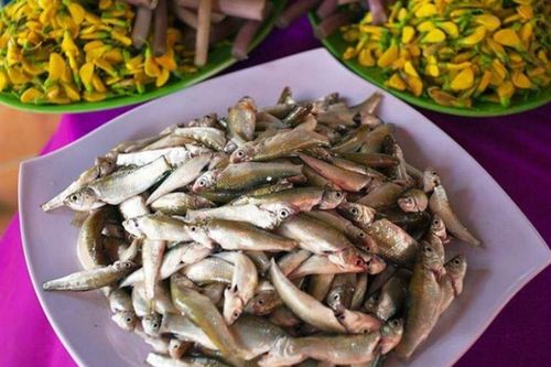 Loại cá dân dã miền Tây bất ngờ thành đặc sản, giá ngang ngửa cá hồi vẫn không đủ bán