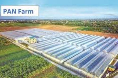 Công ty nông nghiệp chủ lực của PAN Group báo lãi 265 tỷ nửa đầu năm
