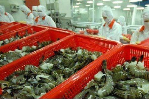 Doanh nghiệp thủy sản Việt Nam khai thác tốt thị trường ngách tại Trung Quốc