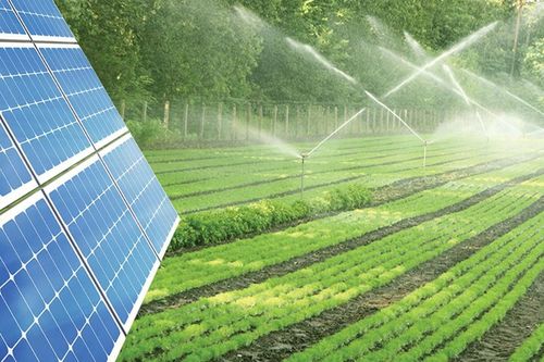 Mô hình điện mặt trời nông nghiệp lần đầu tiên tại Việt Nam: Năng lượng xanh cho phát triển bền vững