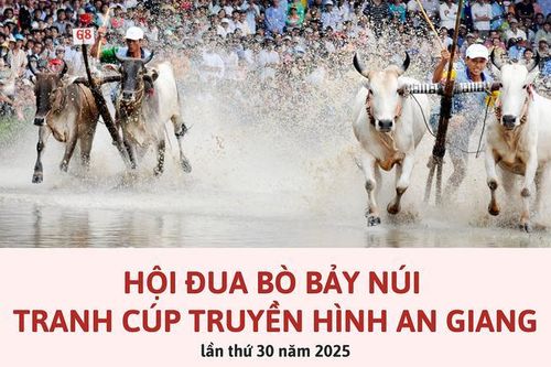 Hội Đua bò Bảy Núi lần thứ 30 tranh Cúp Truyền hình An Giang