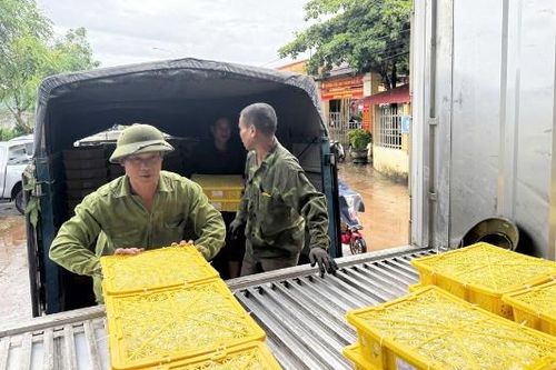 Bắc Ninh: Liên kết sản xuất, tăng giá trị nông sản