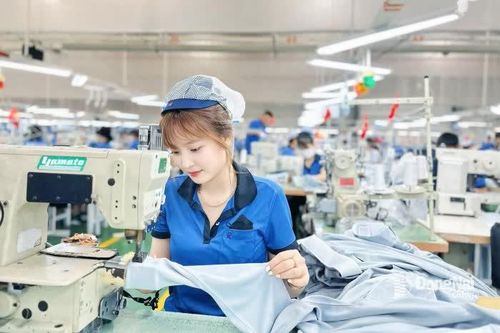 TIẾN TỚI ĐẠI HỘI ĐẠI BIỂU ĐẢNG BỘ TỈNH ĐỒNG NAI NHIỆM KỲ 2025-2030 VÀ ĐẠI HỘI XIV CỦA ĐẢNG Công đoàn thi đua chào mừng đại hội Đảng