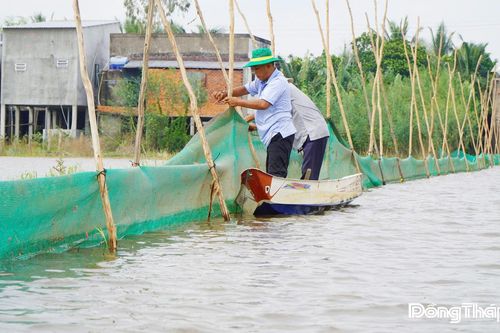 Nuôi trữ cá đồng gắn với du lịch