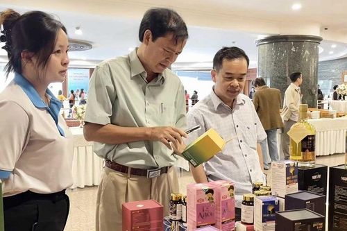 Phát triển chuỗi liên kết trong ngành dược liệu: Hướng đi chiến lược