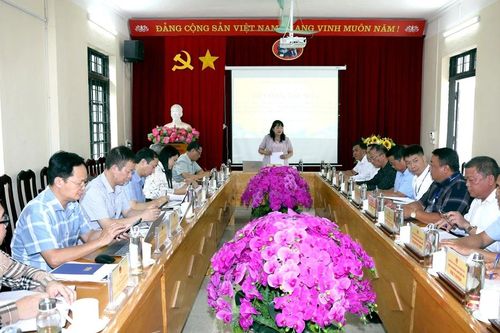 Phó Chủ tịch HĐND tỉnh Hoàng Thị Thanh Bình khảo sát tại xã Mường Bo