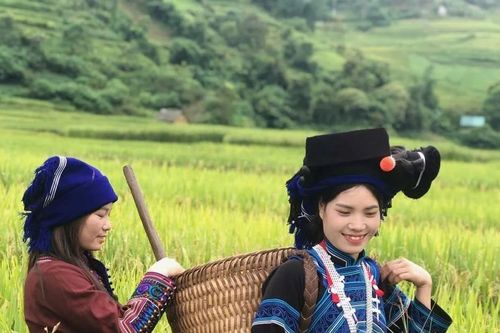 Mùa cơm mới ở bản Hà Nhì