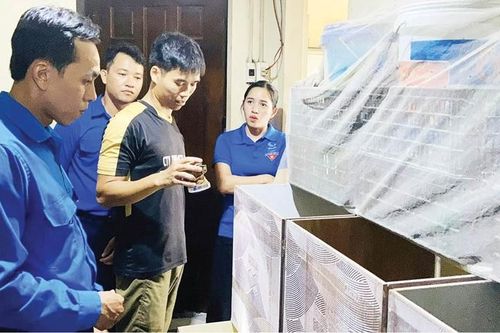 Nuôi dúi - hướng đi mới của thanh niên Quảng Điền