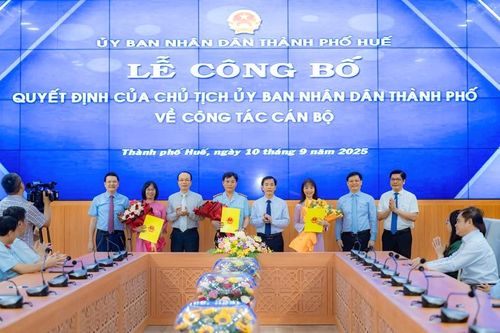 Các ngành Thanh tra, Du lịch, Tư pháp thành phố có phó giám đốc mới