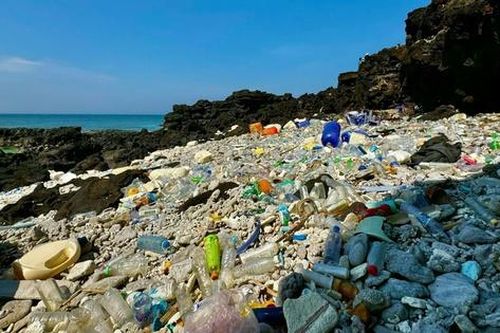 Cách nào xóa sổ rác nhựa từ túi nilon, ống hút?