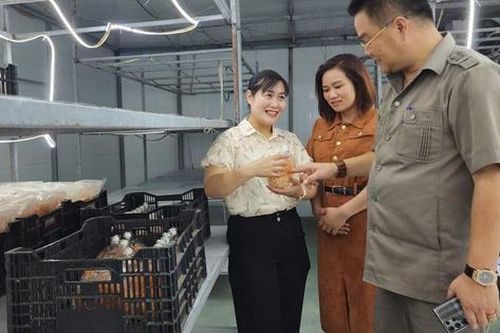 OCOP - Hướng đi bền vững trong hành trình xây dựng nông thôn mới kiểu mẫu ở Tam Đảo