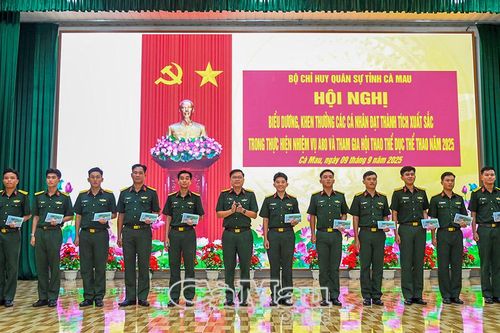 Biểu dương lực lượng vũ trang tại hội thao và diễu binh A80