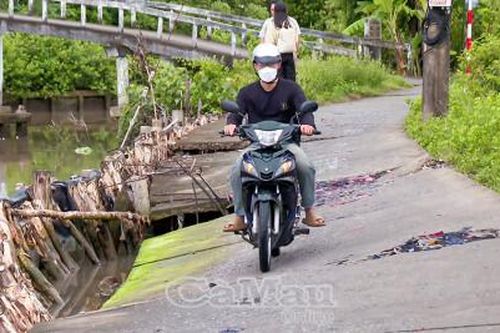 Nguy hiểm từ những tuyến lộ sạt lở ở Cái Nước