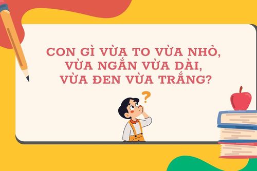 Con gì vừa to vừa nhỏ, vừa ngắn vừa dài, vừa đen vừa trắng?