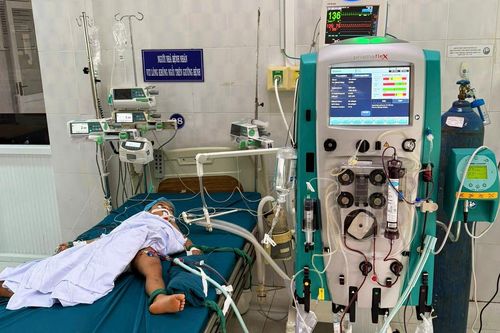 Bị 23 vết ong vò vẽ đốt, bé 5 tuổi ở Gia Lai tử vong