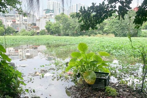 Phường Khương Đình:Dự án chậm tiến độ gần 10 năm do vướng giải phóng mặt bằng