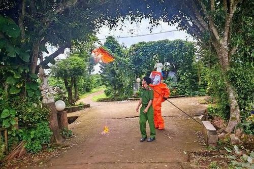 Tổ ong vò vẽ đốt nhiều cháu bé thương vong đã được xử lý