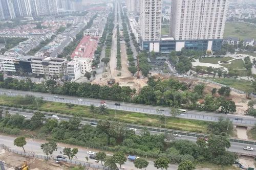 Sẽ di dời 2.700 cây xanh xây dựng nút giao Vành đai 3,5 – Đại lộ Thăng Long