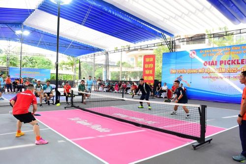 Gần 300 VĐV tham dự Giải Pickleball tỉnh Tuyên Quang mở rộng 2025