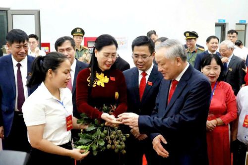Triển lãm và trưng bày các thành tựu, sản phẩm đặc sắc của Quảng Ngãi