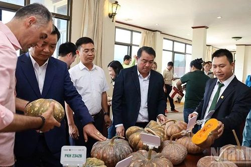 Việt Nam-Lào hợp tác phát triển các giống bí ngô nhiệt đới
