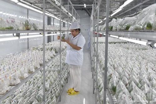 Những người trẻ mang khoa học–công nghệ về với ruộng đồng