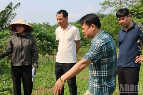 Tắc mặt bằng, tuyến cao tốc Chợ Mới-Bắc Kạn có nguy cơ 'vỡ tiến độ'