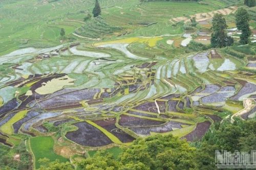 Trung Quốc có thêm bốn công trình được công nhận là di sản thủy lợi thế giới