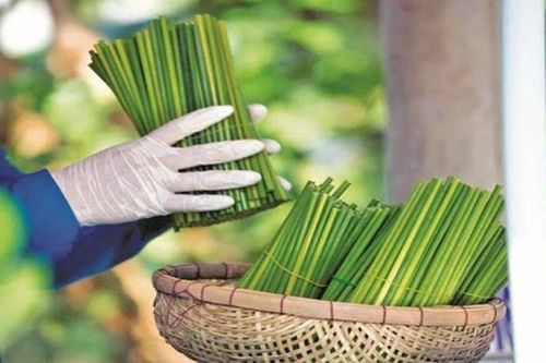 Thúc đẩy tiếp thị và tiêu dùng xanh, bền vững