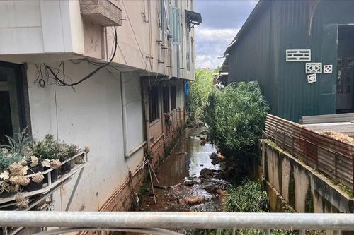 Những dòng suối ở Đà Lạt đang bị 'bóp nghẹt'