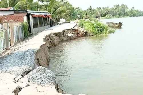 Vĩnh Long: Sạt lở đe dọa nhà dân và trường học tại xã Tân Long Hội