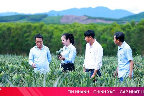 Kỳ Hoa hứa hẹn tiến xa