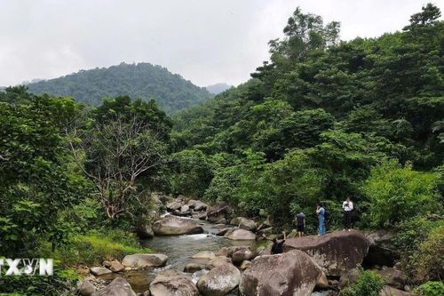 Bí ẩn những hình khắc cổ Suối Cỏ ở vùng đất Mường Vang