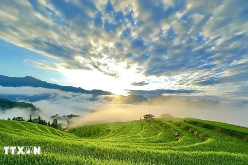 Ngắm nhìn ruộng bậc thang Thông Nguyên - Bức tranh hùng vĩ và nên thơ