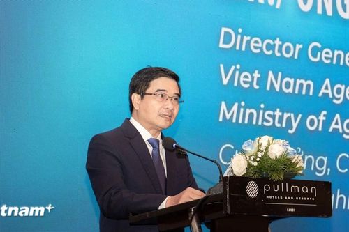 Gần 3.500 tấn nhựa được ngăn chặn, tránh phát thải trực tiếp ra môi trường