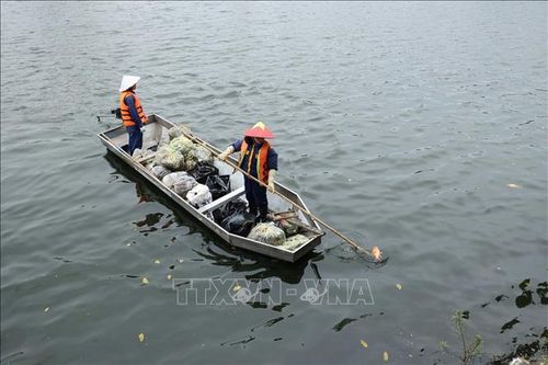 Hà Nội: Khẩn trương thu vớt cá chết trên hồ Trúc Bạch