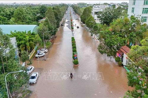 Bến Ninh Kiều ngập sâu khi triều cường vượt báo động III