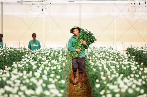 Nợ vay của PAN Farm phình to trong nửa đầu năm 2025