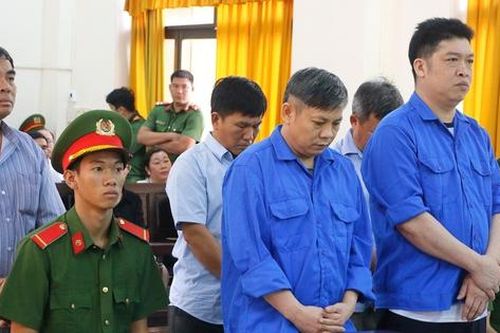 Tuyên án 5 bị cáo trong vụ sai phạm tại dự án Vườn quốc gia U Minh Thượng
