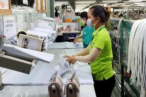 Sức bật mới để kinh tế tỉnh Vĩnh Long bứt phá